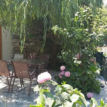 Μountain Whispers Apartment Mouresi Exterior photo