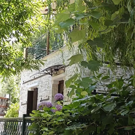 Μountain Whispers Apartment Mouresi Exterior photo