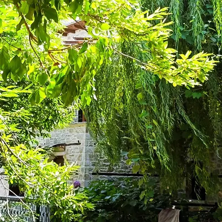 Μountain Whispers Apartment Mouresi Exterior photo