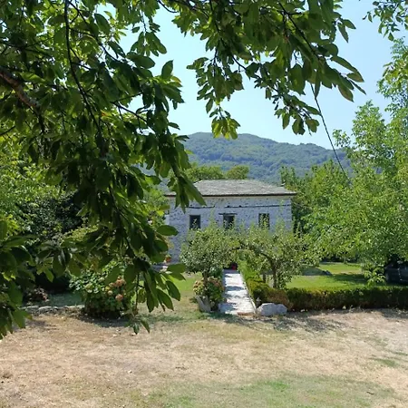 Μountain Whispers Apartment Mouresi Exterior photo