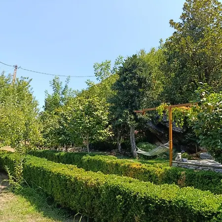 Μountain Whispers Apartment Mouresi Exterior photo