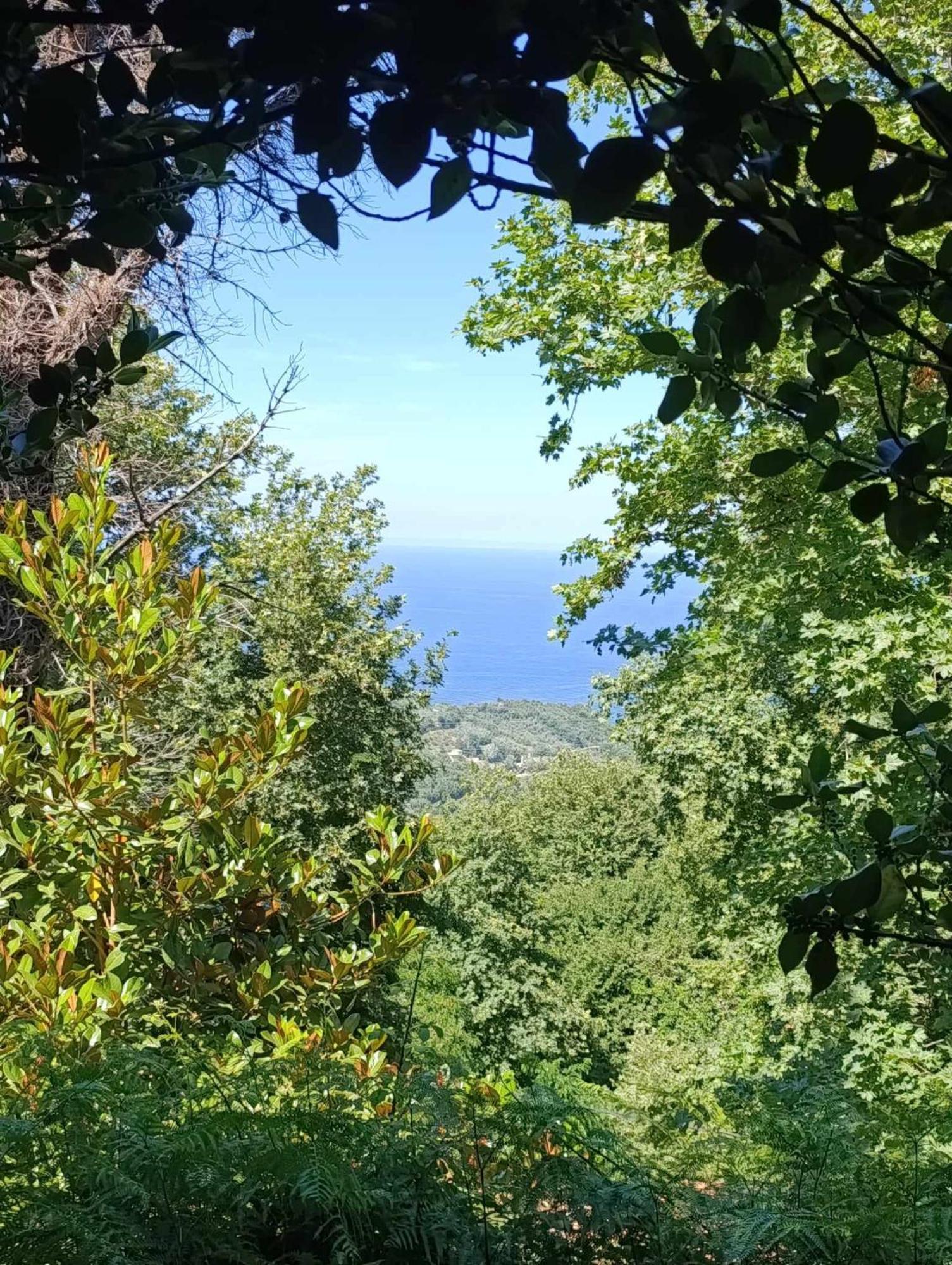μountain Whispers Apartment Mouresi