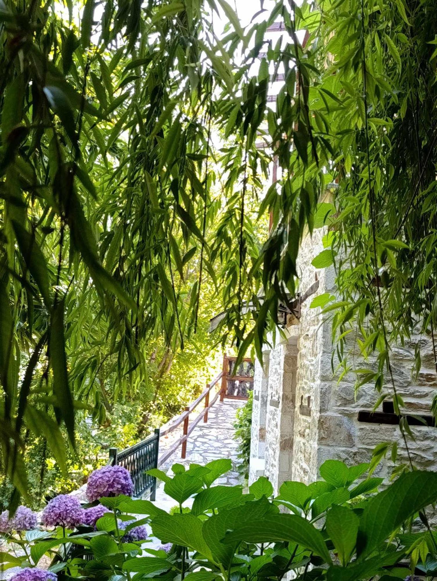 Apartment μountain Whispers Mouresi