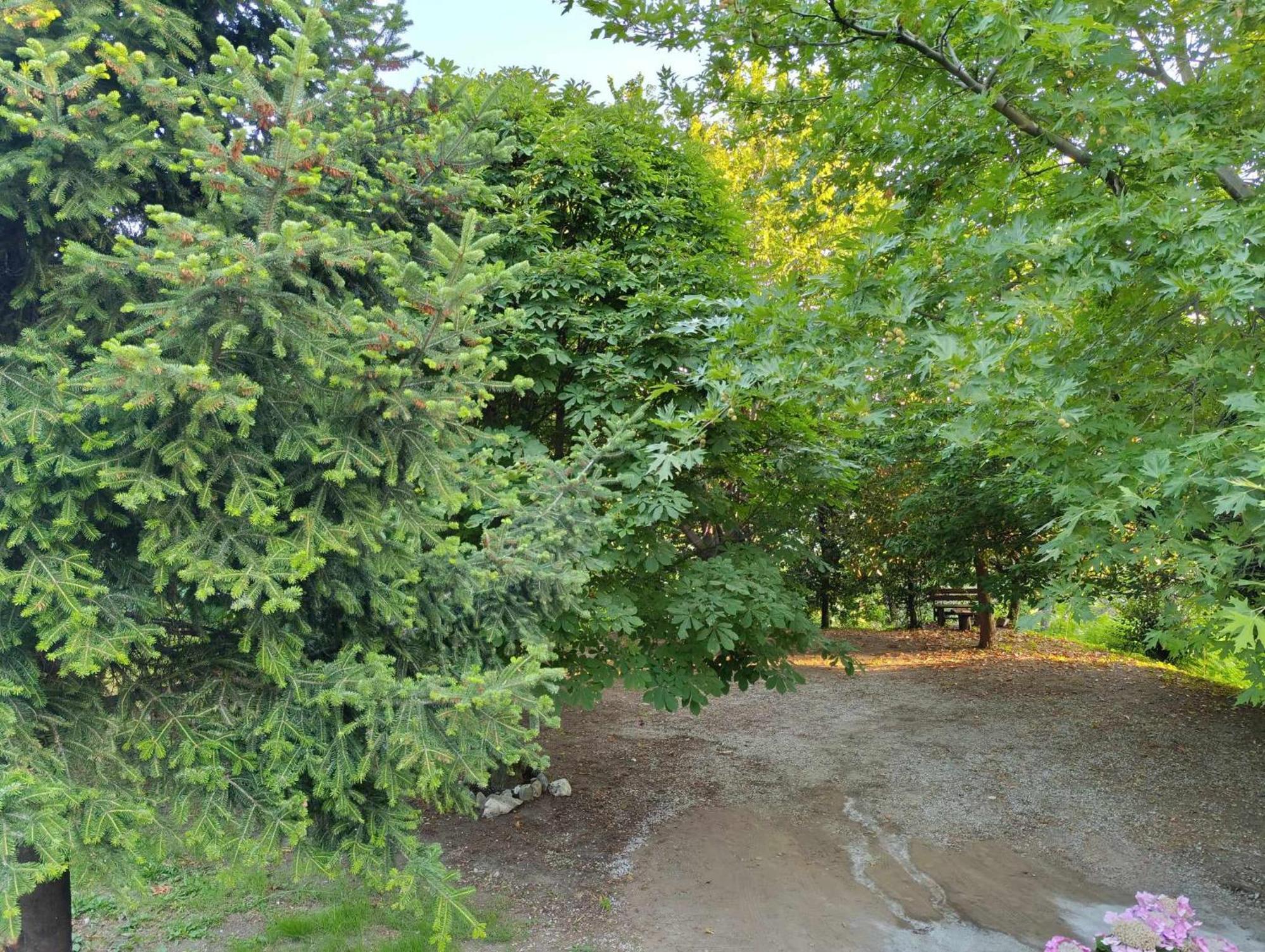 μountain Whispers Apartment